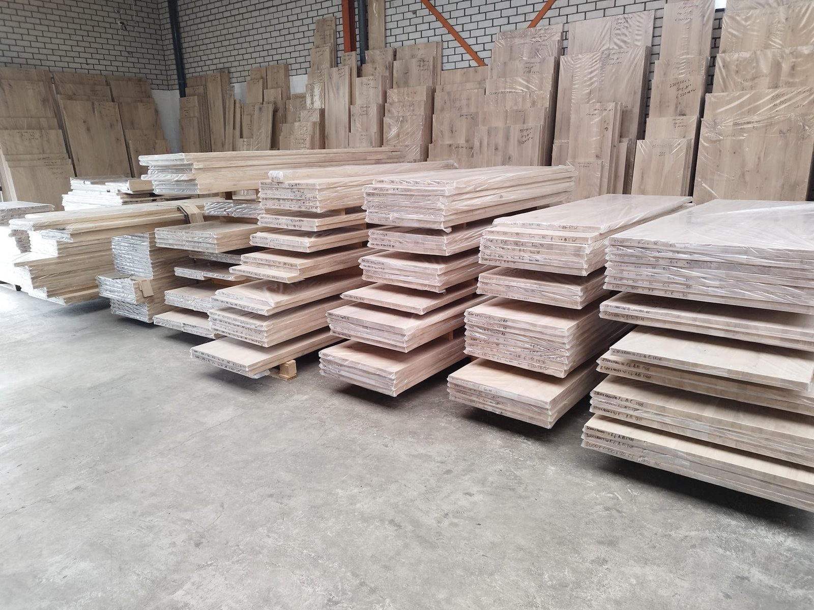 Afbeelding 5
